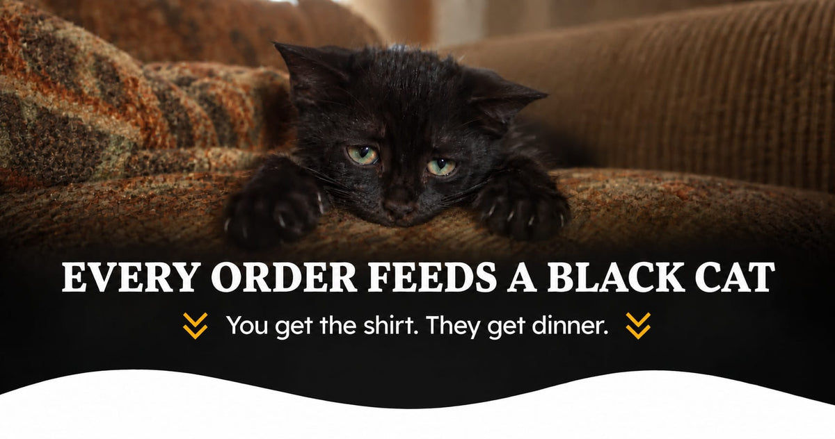 The cat stays up. So do you. Shop the catalog →